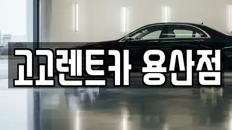 서울특별시 용산구 한강로1가 렌트카 전문 고고렌트카 용산점