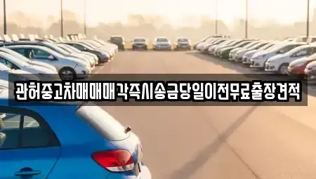 서울특별시 은평구 응암동 중고차 전문 관허중고차매매매각즉시송금당일이전무료출장견적
