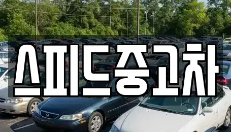 서울특별시 은평구 응암동 중고차 전문 스피드중고차