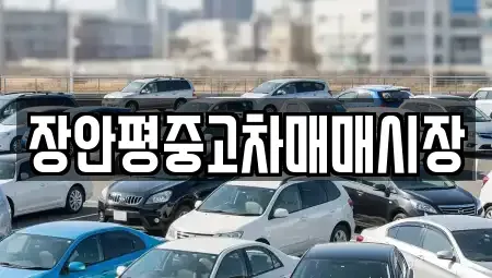 서울특별시 은평구 응암동 중고차 전문 장안평중고차매매시장