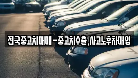 서울특별시 은평구 응암동 중고차 전문 전국중고차매매-중고차수출,사고노후차매입