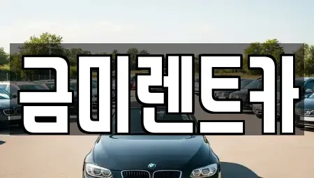 서울특별시 종로구 관철동 렌트카 전문 금미렌트카