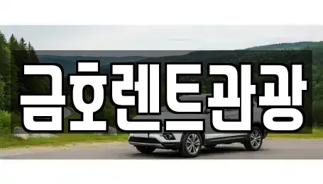 서울특별시 종로구 관철동 렌트카 전문 금호렌트관광