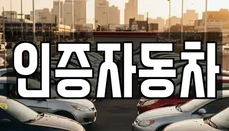 서울특별시 종로구 관철동 중고차매매 전문 인증자동차