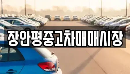 서울특별시 종로구 관철동 중고차매매 전문 장안평중고차매매시장