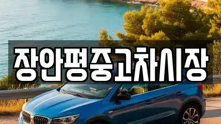 서울특별시 종로구 관철동 중고차매매 전문 장안평중고차시장