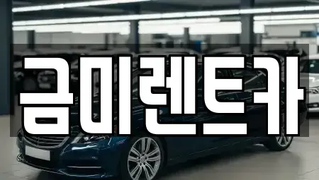 서울특별시 종로구 당주동 렌트카 전문 금미렌트카