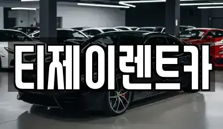 서울특별시 종로구 당주동 렌트카 전문 티제이렌트카