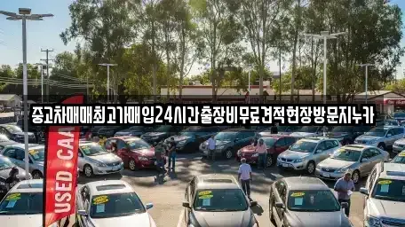 서울특별시 종로구 당주동 중고차 전문 중고차매매최고가매입24시간출장비무료견적현장방문지누카