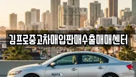 서울특별시 종로구 당주동 중고차매입 전문 김프로중고차매입판매수출매매센터