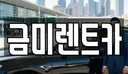 서울특별시 종로구 동숭동 렌트카 전문 금미렌트카