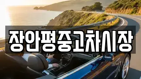 서울특별시 종로구 동숭동 중고차 전문 장안평중고차시장