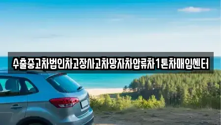 서울특별시 종로구 동숭동 중고차매입 전문 수출중고차법인차고장사고차망자차압류차1톤차매입센터