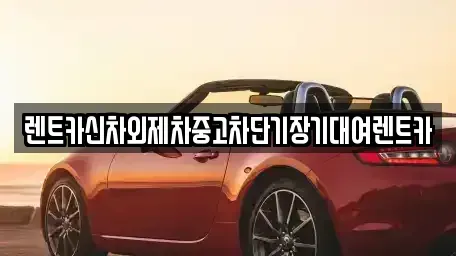 서울특별시 종로구 서린동 단기렌트카 전문 렌트카신차외제차중고차단기장기대여렌트카