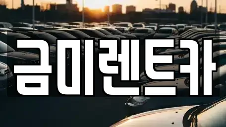 서울특별시 종로구 서린동 렌트카 전문 금미렌트카