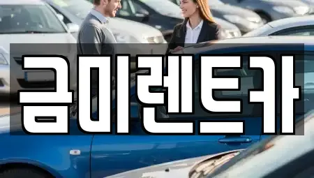 서울특별시 종로구 서린동 렌트카 전문 금미렌트카