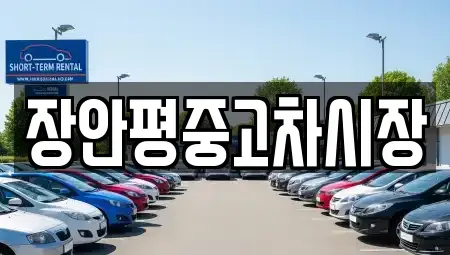 서울특별시 종로구 서린동 중고차 전문 장안평중고차시장