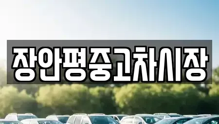 서울특별시 종로구 서린동 중고차매매 전문 장안평중고차시장