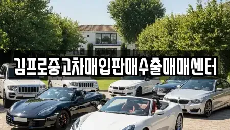서울특별시 종로구 서린동 중고차매입 전문 김프로중고차매입판매수출매매센터