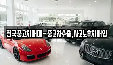 서울특별시 종로구 서린동 중고차매입 전문 전국중고차매매-중고차수출,사고노후차매입