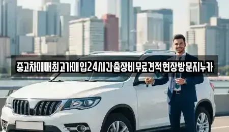 서울특별시 종로구 신교동 중고차 전문 중고차매매최고가매입24시간출장비무료견적현장방문지누카