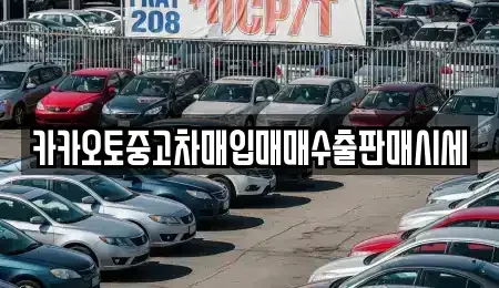 서울특별시 종로구 신교동 중고차 전문 카카오토중고차매입매매수출판매시세