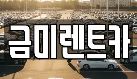 서울특별시 종로구 이화동 렌트카 전문 금미렌트카