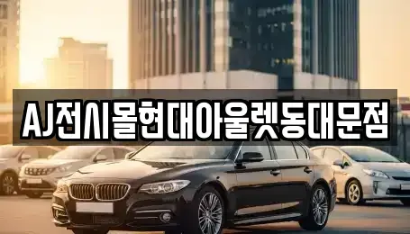 서울특별시 종로구 이화동 장기렌트카 전문 AJ전시몰현대아울렛동대문점