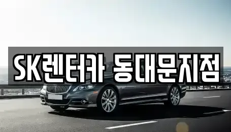 서울특별시 종로구 이화동 장기렌트카 전문 SK렌터카 동대문지점