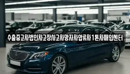 서울특별시 종로구 이화동 중고차 전문 수출중고차법인차고장사고차망자차압류차1톤차매입센터