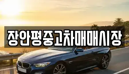 서울특별시 종로구 이화동 중고차 전문 장안평중고차매매시장