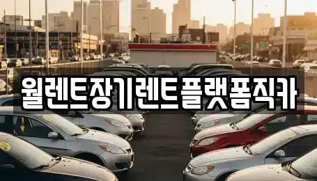 서울특별시 종로구 종로5가 장기렌트카 전문 월렌트장기렌트플랫폼직카