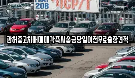 서울특별시 종로구 종로5가 중고차매매 전문 관허중고차매매매각즉시송금당일이전무료출장견적