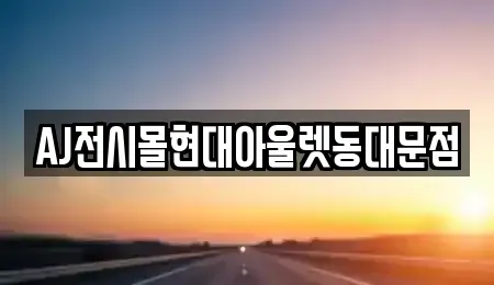 서울특별시 종로구 충신동 렌트카 전문 AJ전시몰현대아울렛동대문점