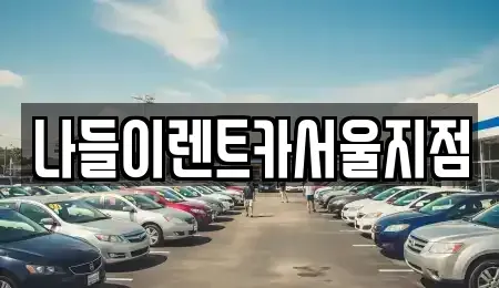 서울특별시 종로구 충신동 렌트카 전문 나들이렌트카서울지점