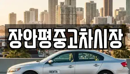 서울특별시 종로구 충신동 중고차매매 전문 장안평중고차시장