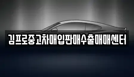서울특별시 종로구 충신동 중고차매입 전문 김프로중고차매입판매수출매매센터