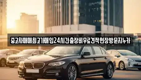 서울특별시 종로구 충신동 중고차매입 전문 중고차매매최고가매입24시간출장비무료견적현장방문지누카