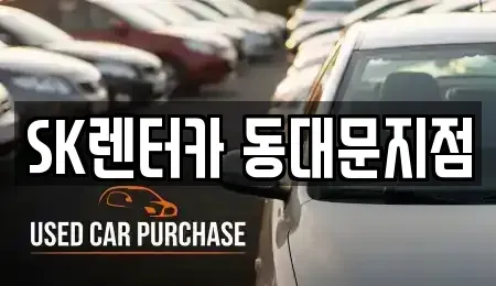 서울특별시 중구 산림동 렌트카 전문 SK렌터카 동대문지점