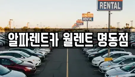 서울특별시 중구 산림동 렌트카 전문 알파렌트카 월렌트 명동점