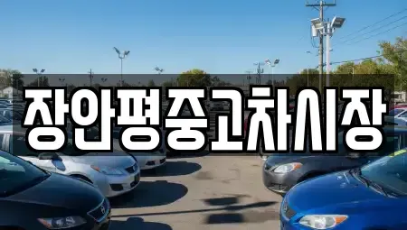서울특별시 중구 산림동 중고차매매 전문 장안평중고차시장