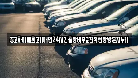 서울특별시 중구 산림동 중고차매입 전문 중고차매매최고가매입24시간출장비무료견적현장방문지누카