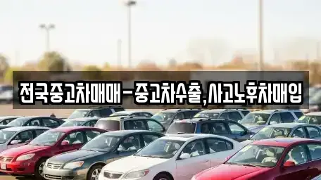 서울특별시 중구 수표동 중고차매입 전문 전국중고차매매-중고차수출,사고노후차매입