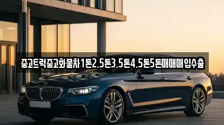 서울특별시 중구 수표동 중고차매입 전문 중고트럭중고화물차1톤2.5톤3.5톤4.5톤5톤매매매입수출