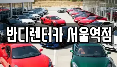 서울특별시 중구 을지로1가 렌트카 전문 반디렌터카 서울역점