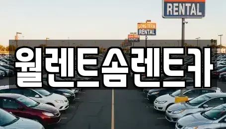 서울특별시 중구 을지로1가 렌트카 전문 월렌트솜렌트카