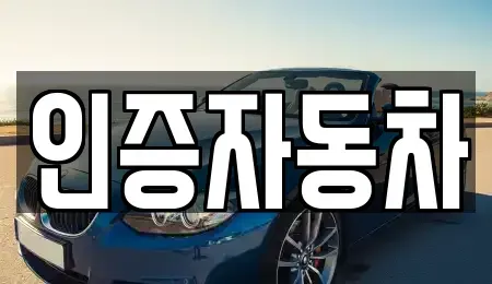 서울특별시 중구 을지로1가 중고차 전문 인증자동차