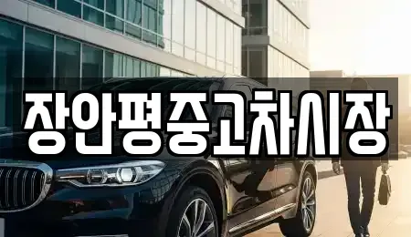 서울특별시 중구 을지로1가 중고차 전문 장안평중고차시장