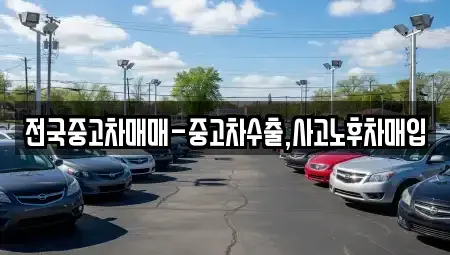 서울특별시 중구 을지로1가 중고차 전문 전국중고차매매-중고차수출,사고노후차매입
