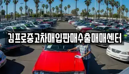 서울특별시 중구 을지로1가 중고차매입 전문 김프로중고차매입판매수출매매센터